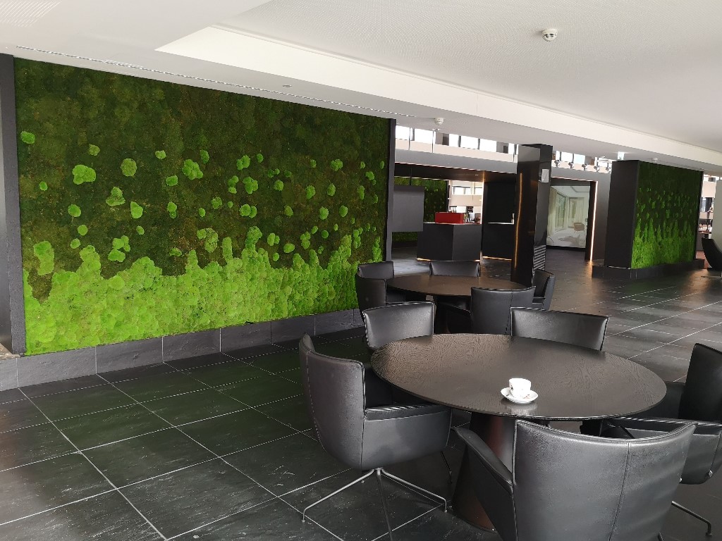 mehrere Waldkugelmooswände im Foyer