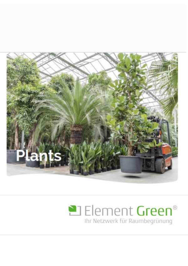 ElementGreen Pflanzen