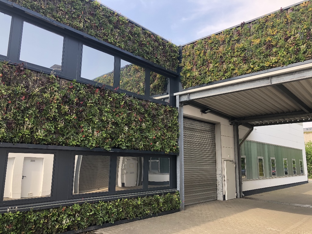 Sempergreen Pflanzenwand im Außenbereich zur Begrünung eines Gebäudes