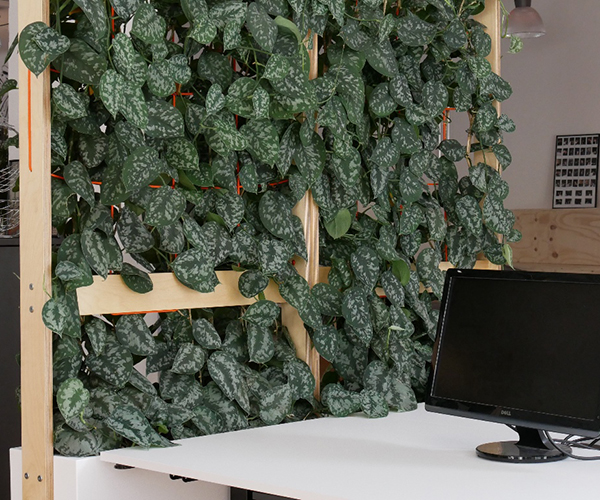 Pflanzen-Raumteiler neben Bürotisch als Symbolbild für Raumteiler