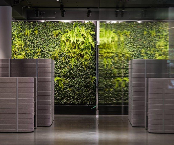 Eine Wand bestückt mit vielen verschiedenen Pflanzen zwischen einer Säule links und einem breiten Spiegel recht als Symbolbild für Vertikale Begrünung