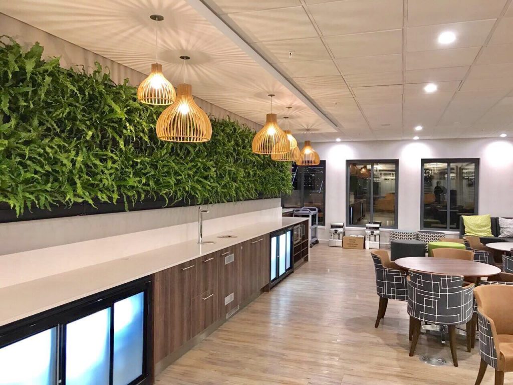 fertig installiertes Mobilane Livepanel Indoor Pflanzenwandsystem
