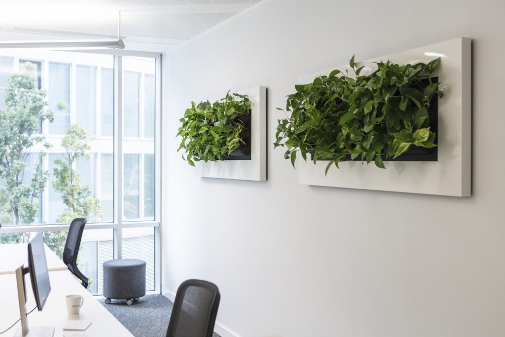 Zwei Mobilane Plantpictures befinden sich recht an einer Wand