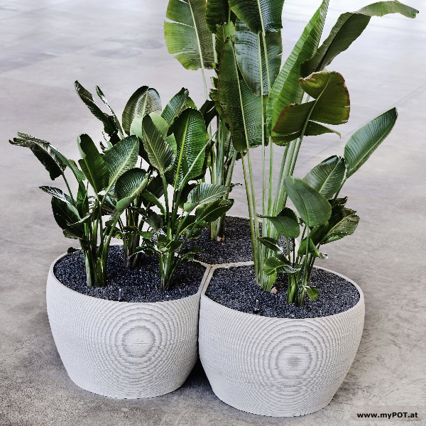 mypot Gefäße klein