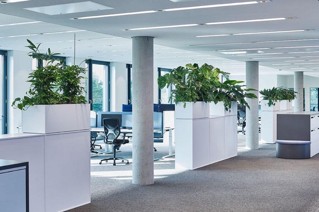 bepflanzte Gefäßwannen stehen auf Kästen in einem großen Büroraum