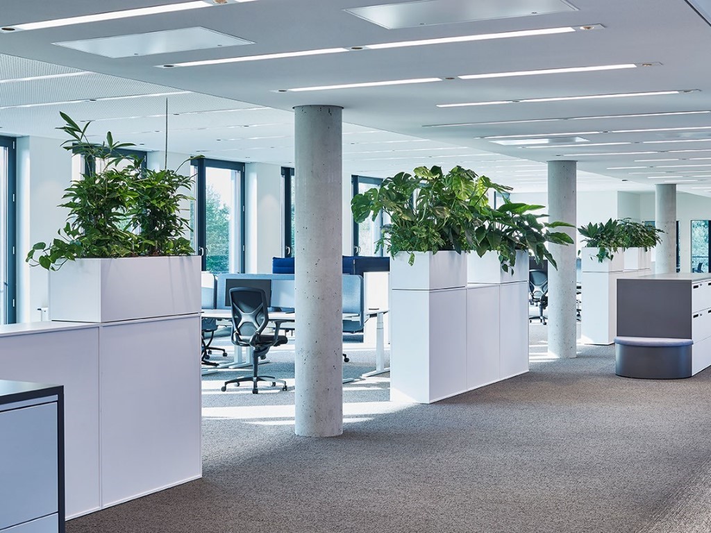 bepflanzte Gefäßwannen stehen auf Kästen in einem großen Büroraum