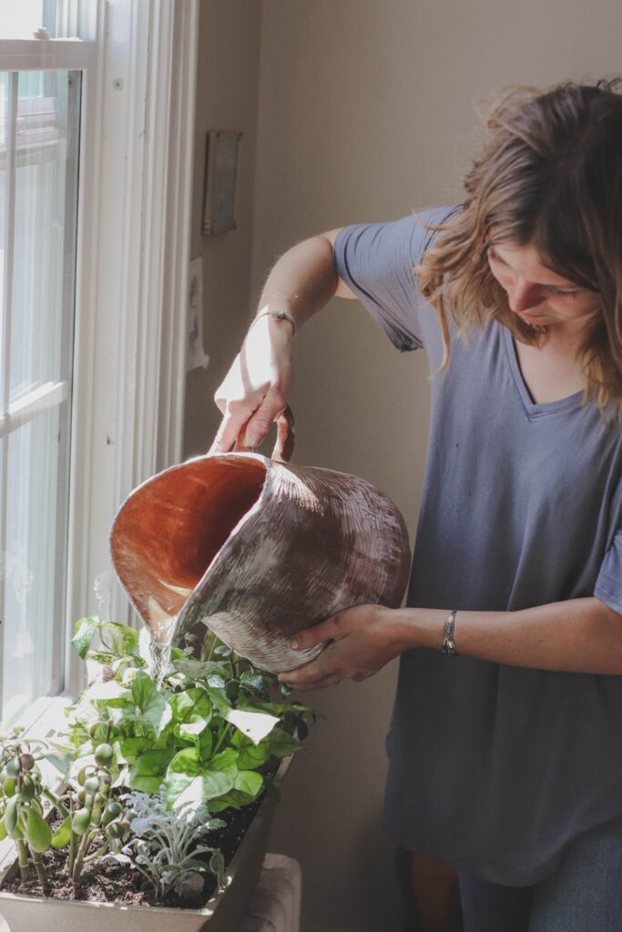 Eine Frau gießt ein Gefäß mit Pflanzen