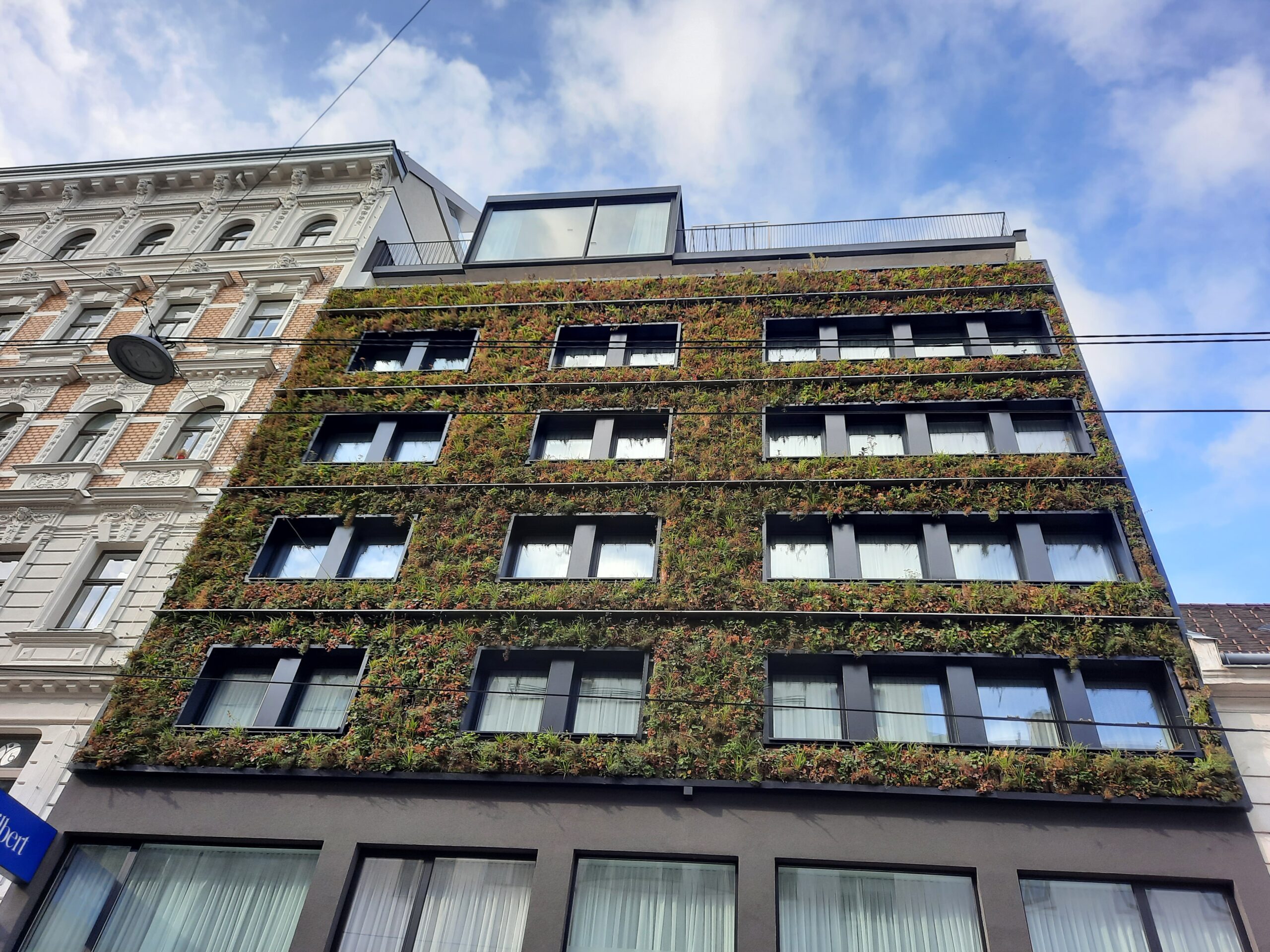 Beispiel einer Sempergreen Fassadenbegrünung
