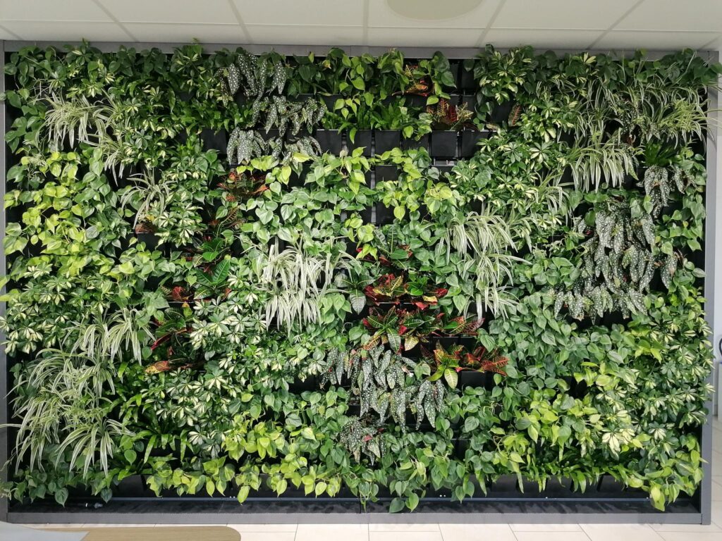 Beispiel zwei eines Natural-Green-Wall Pflanzenwandsystems