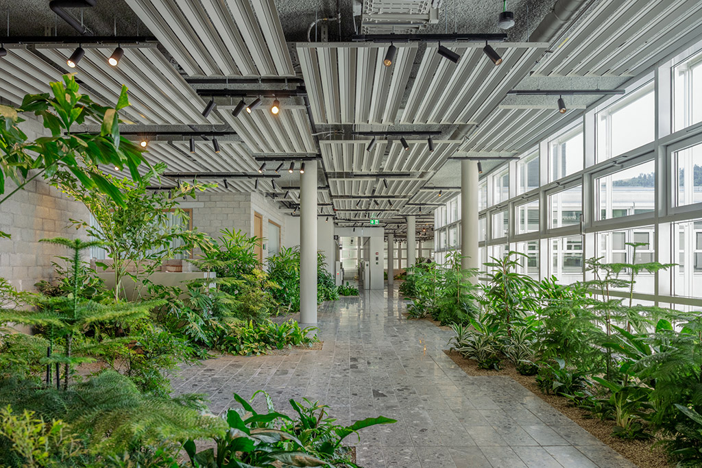 Mit „The Green Lane“ wurde bei Holcim in der Schweiz eine Miniaturlandschaft im Gebäudeinneren geschaffen. Bildnachweis: Marcel Meier