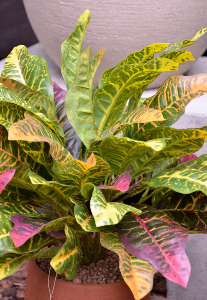 Kunstpflanzen (c) Susanne Wannags bei RUOF Grün.Raum.Konzepte