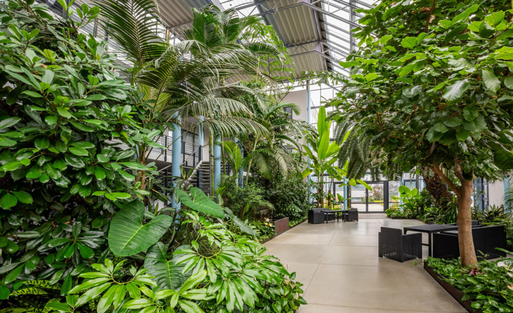 Unser Element Green Partner Grüne Lebensräume hat im Technologiezentrum Jülich ein besonderes Projekt umgesetzt.