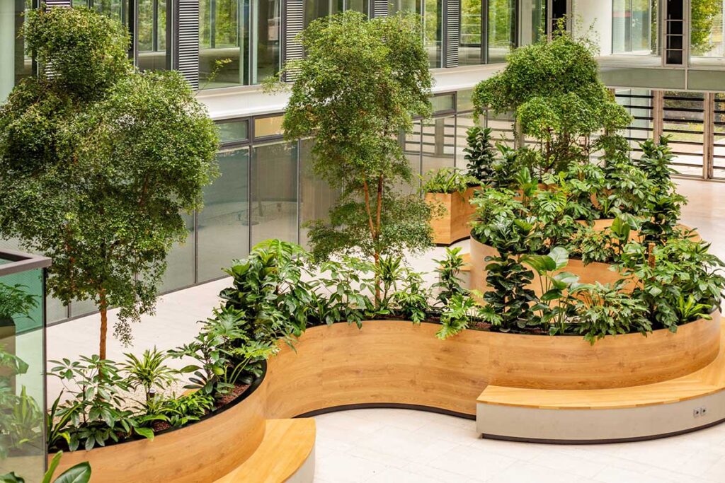 Großzügige Innenraumbegrünung mit hohen Pflanzen in einem Atrium